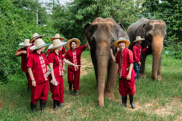 Thailand Service & Adventure — 15 Days