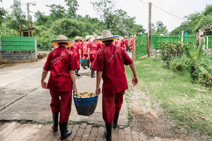Teens carrying a bucket of bananas to feed the elephants