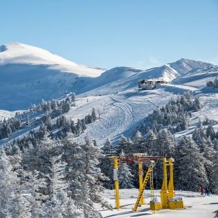 Snow-covered pine forest and slopes on Uludağ in winter