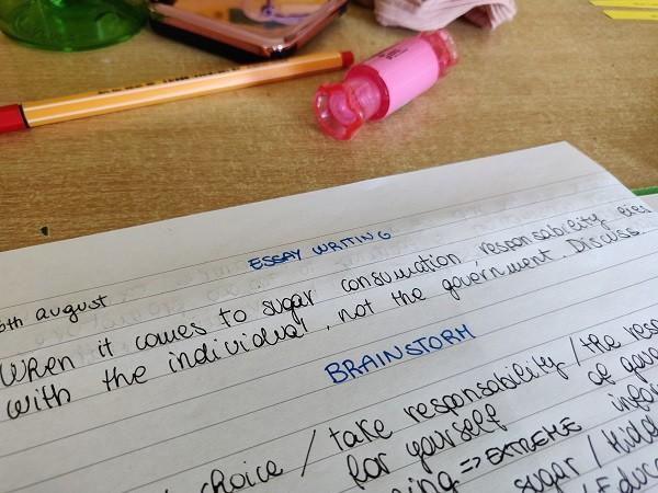 An essay plan written in a student's notebook