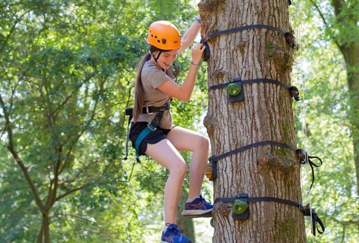 Camper climbing a tree on the high ropes