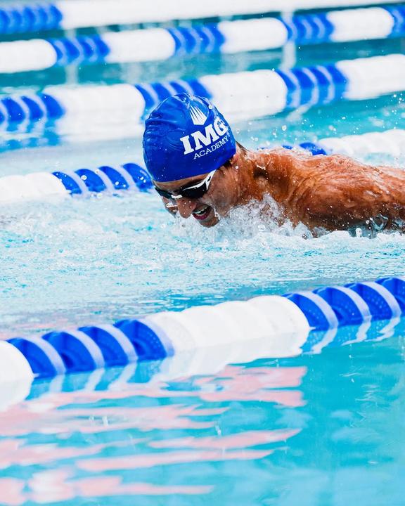 A swimmer doing butterfly in a racing lane