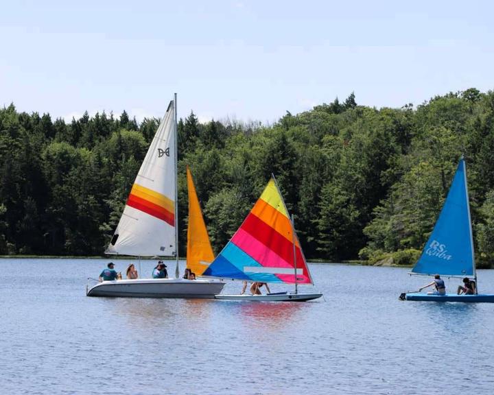 Sailboats with colourful sails on the camp lake