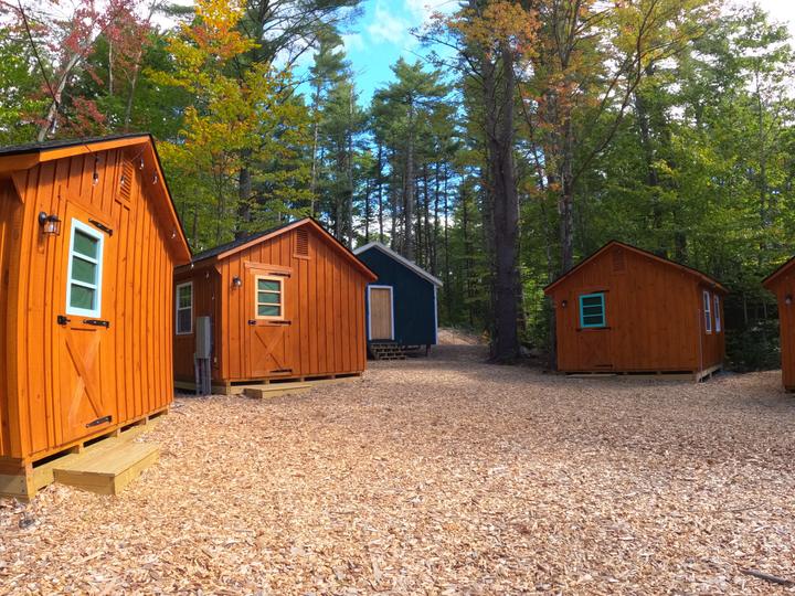 Wooden cabins among the trees