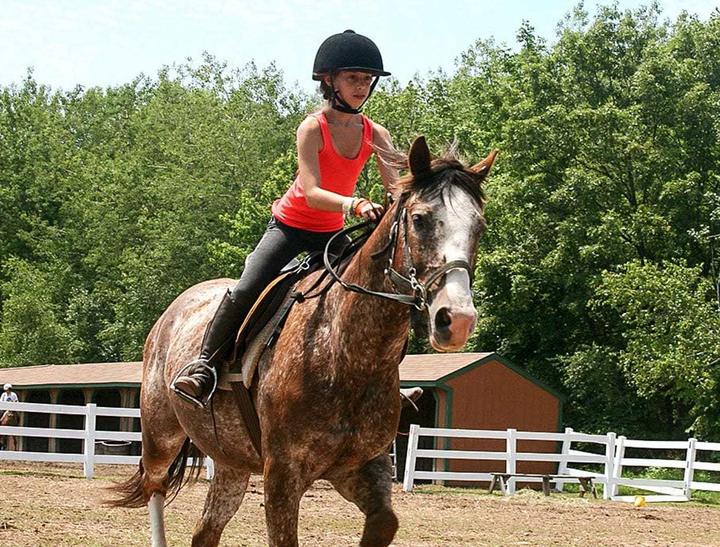 Camper riding a horse in the riding ring