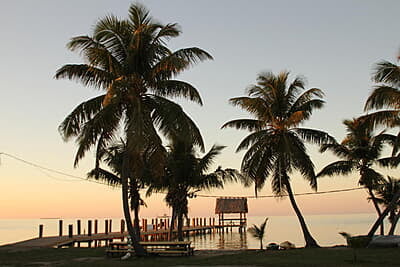 Florida Marine Conservation Florida Marine Conservation