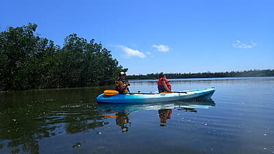 Florida Marine Conservation Florida Marine Conservation