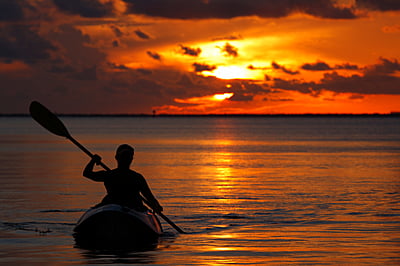 Florida Marine Conservation Florida Marine Conservation